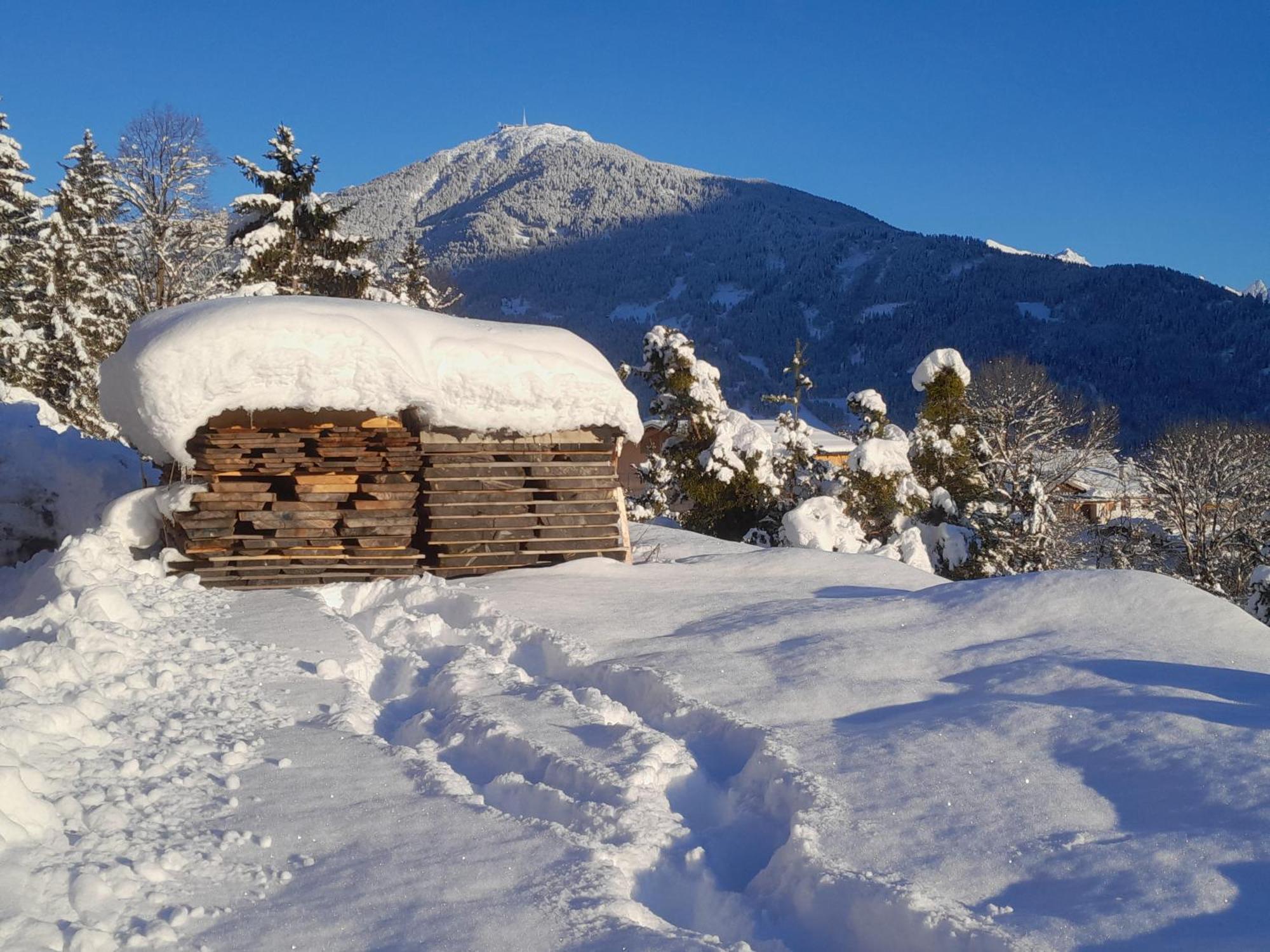 Haus Hotz Apart Talblick Grins Esterno foto